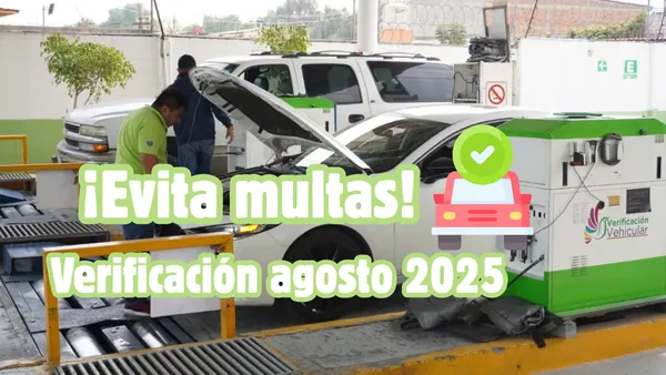 ¿Quiénes deben verificar su auto en agosto 2025?