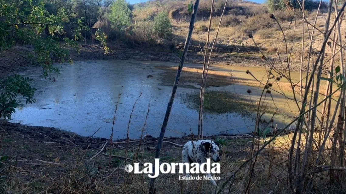 Edomex: Secretaría de Agricultura anuncia recuperación de reservorios de agua