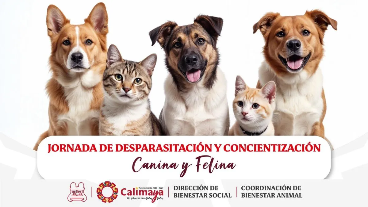 Calimaya anuncia jornada de desparasitación canina y felina