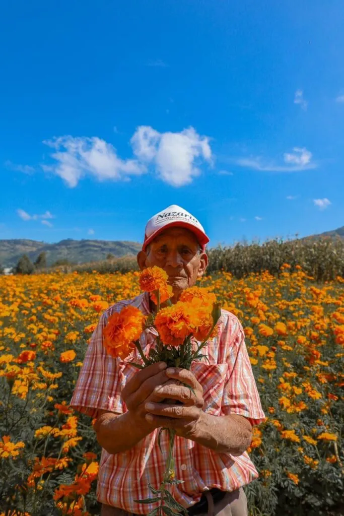 El Gobierno de Texcoco impulsa rutas para que productores comercialicen la Flor de cepasúchil