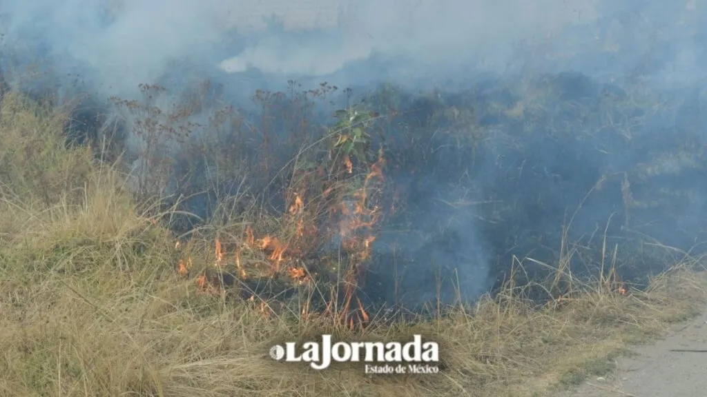 Quema de pastizales puede ser perjudicial para el ambiente