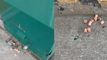 Hallan salchichas envenenadas en Nicolás Romero