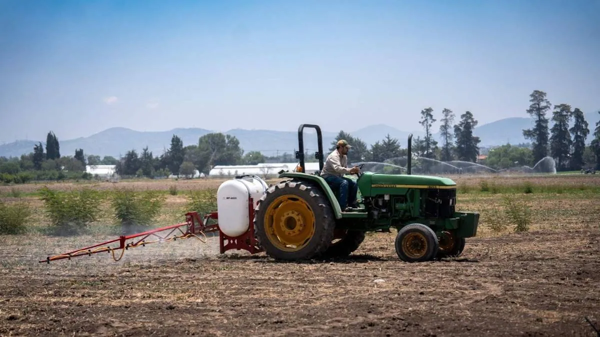 Chapingo tiene 24 años de trabajo en campo experimental