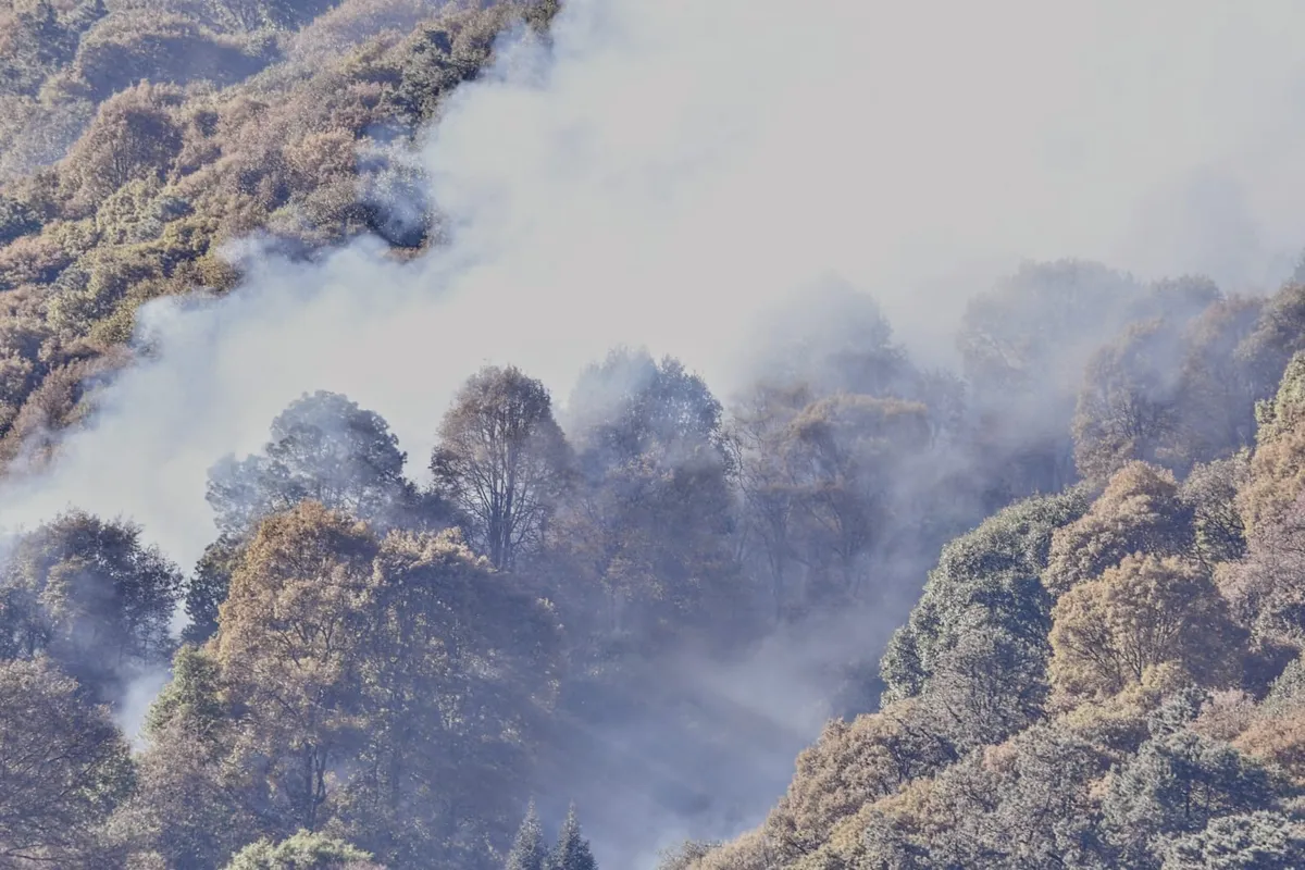 Atizapán: habitantes enfrentan problemas de salud por ceniza de incendios