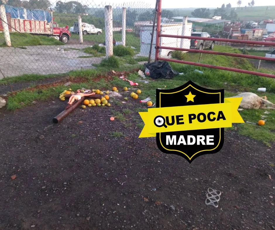Encuentran posible ritual con un animal en tianguis de Almoloya de Juárez