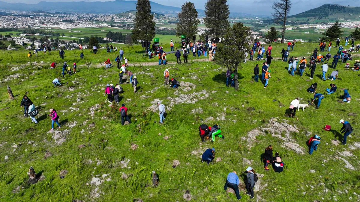 Toluca: Plantaron 2 mil 500 árboles en Tecaxic