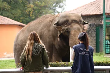 Nuevos integrantes se suman a la fauna del Parque Ecológico “Zacango”