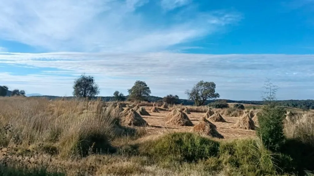 Edomex: Suspenden Fase I de Contingencia Ambiental Atmosférica