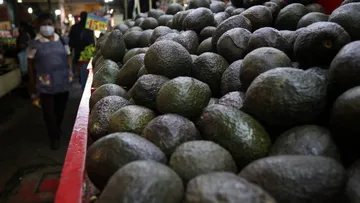 Aguacate mexiquense, protagonista del Super Bowl en México