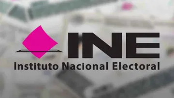INE niega fallas en plataforma contratada a Territorium Life