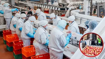 Sheinbaum y sector privado acuerdan mantener la canasta básica en 910 pesos