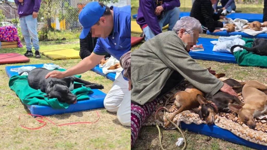 Toluca fortaleció el Centro de Control y Bienestar Animal