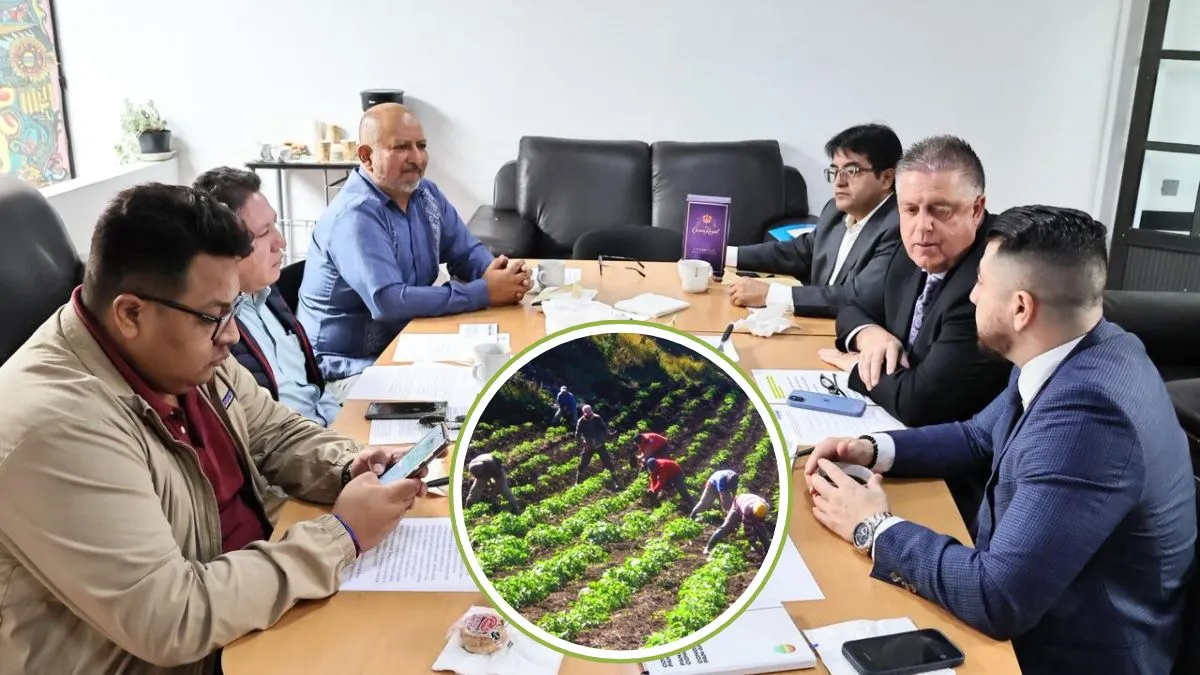 Consulados de México en Canadá podrían convertirse en procuradurías de defensa laboral para agrícolas migrantes