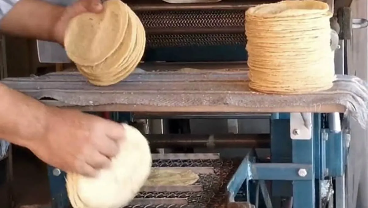 Arranca plan para reducir precio de la tortilla