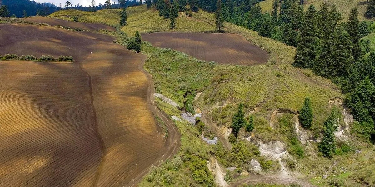 La mitad del territorio de Edomex padece erosión de suelo