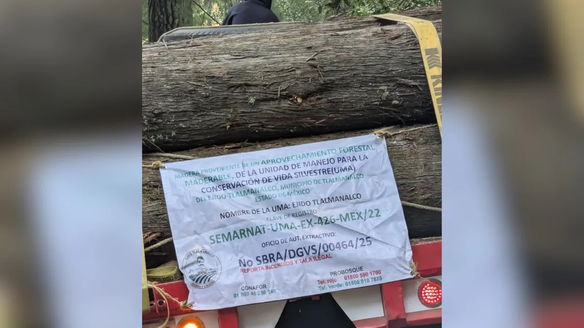 Tala de árboles en Tlalmanalco es preocupante: senderistas