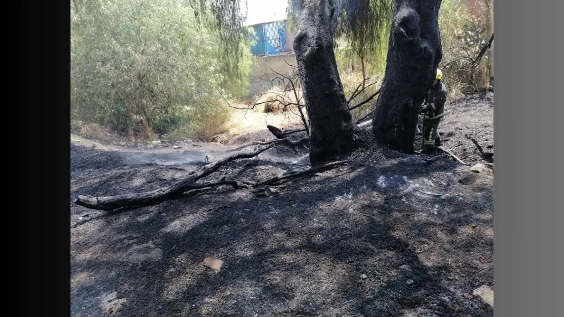 Jilotzingo: Realizan vigilancia permanente en las 500 hectáreas quemadas