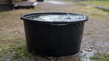 Metepec: Tras días de escasez, aprovechan la lluvia para recolectar agua