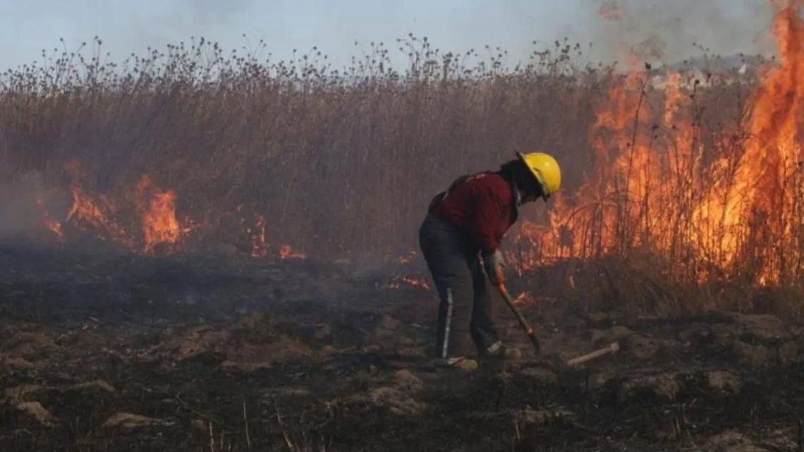 Maleza seca representa alto riesgo de incendios