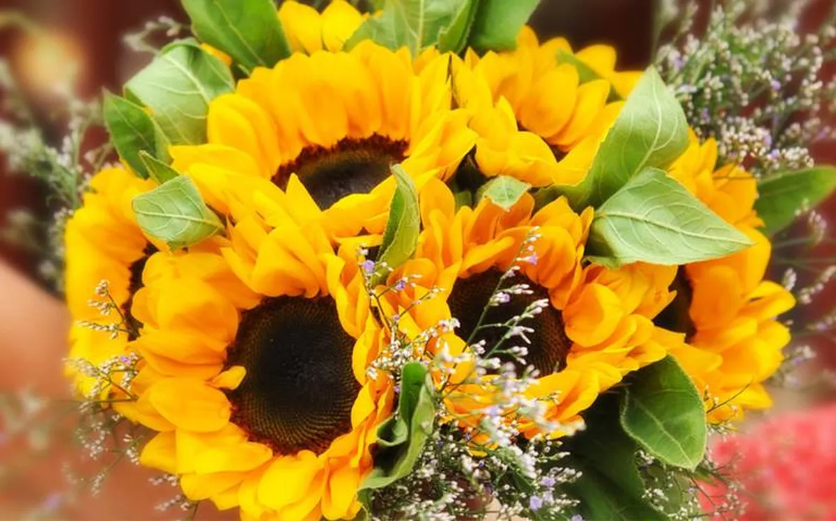 ¿Sabes por qué se regalan flores amarillas los 21 de septiembre?