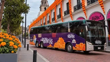 Rutas para regresar a casa después de los conciertos del Alfeñique