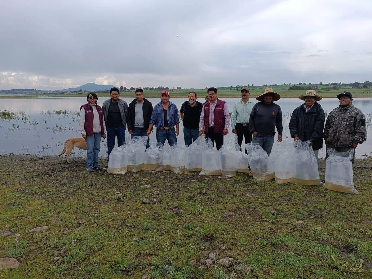 Buscan recuperar actividad pesquera en Presa Huapango