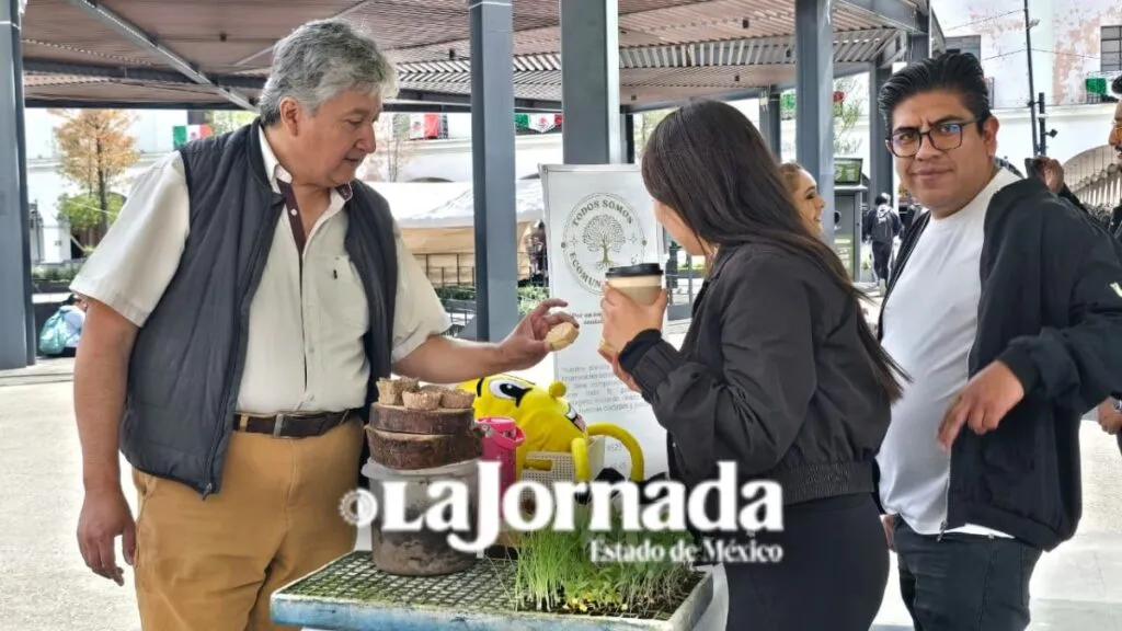 Asociación advierte fallas en campañas de aprovechamiento de residuos
