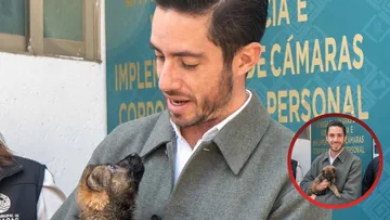 Hasta 15 años de prisión por maltrato animal en Edomex; PVEM impulsó este avance