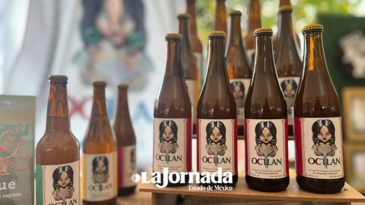 Metepequeando: Primer Festival deja derrama económica de 16 MDP