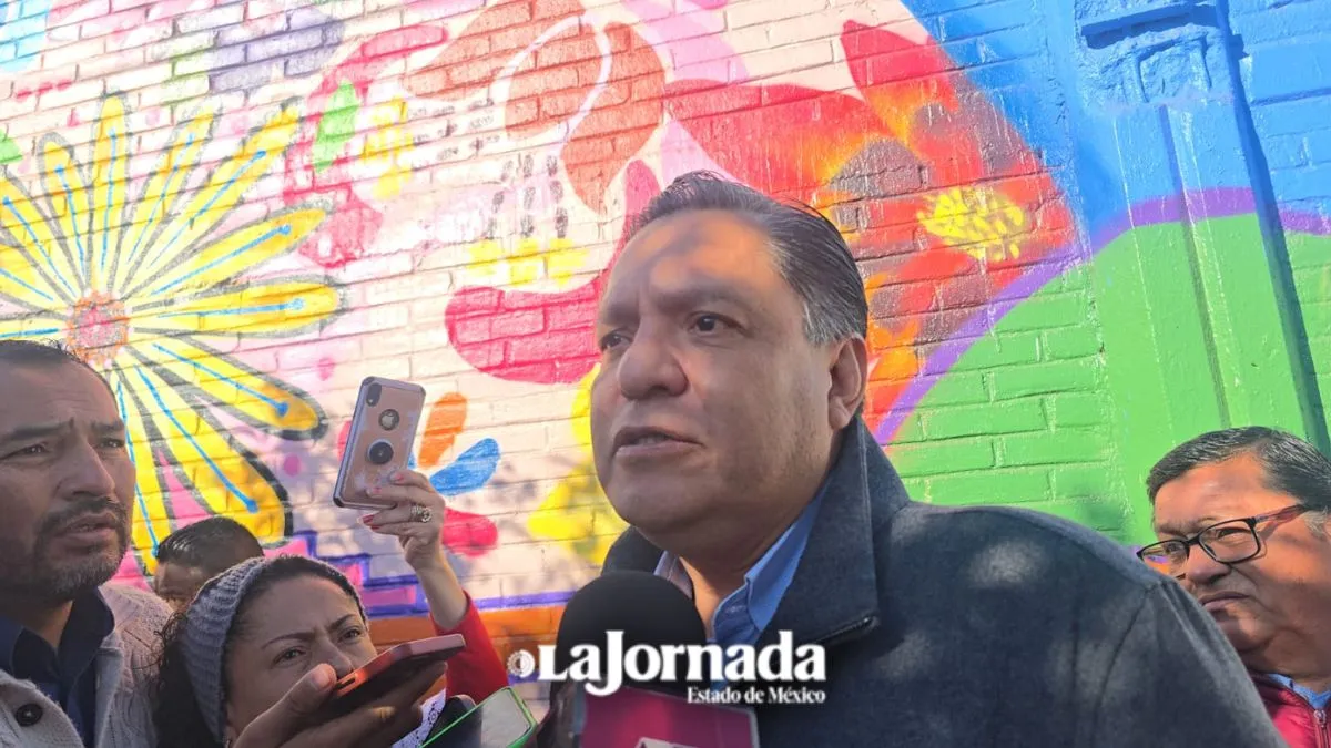 Regularización del comercio en Toluca a través de internet