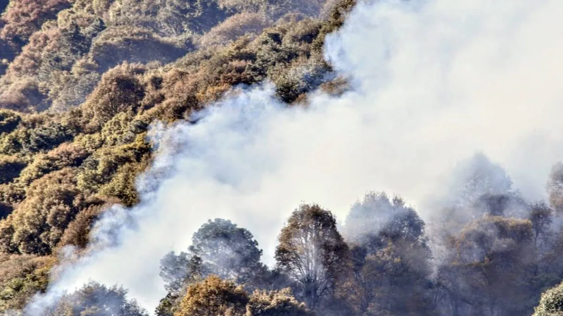 Jilotzingo: Preocupan mil 300 hectáreas de bosques de agua quemados