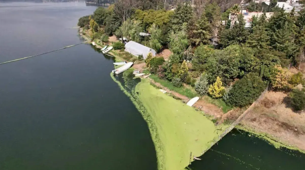 Le ventilan al PAN de Izcalli su historial ecocida por abandonar Lago de Guadalupe
