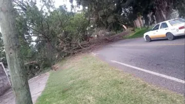 Carretera Zumpahuacán-Tenancingo cerrada por árbol caído hoy 26 de mayo