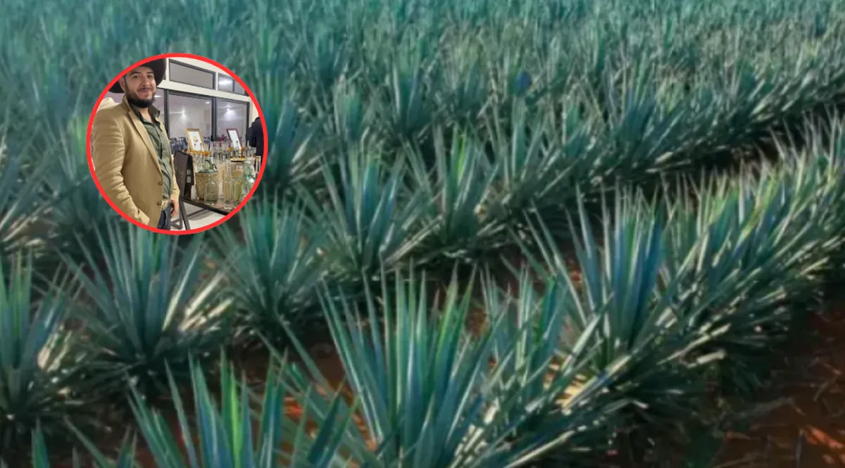 Mezcaleros del Edomex denuncian abandono de SeCampo pese a denominación de origen