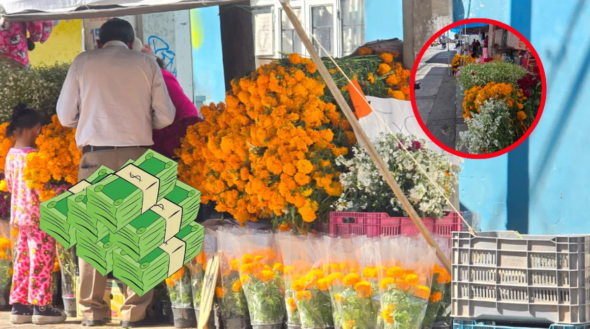 Precio del cempasúchil en Toluca alcanza los 150 pesos por el Día de Muertos