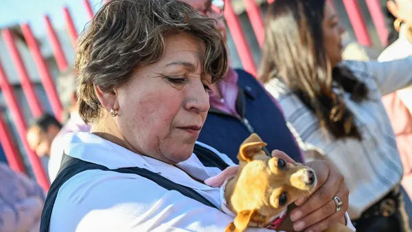 GEM aplica estrategia de atención de animales 