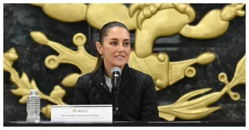 "Los senadores panistas plantearon que iban a hacer frente común con la presidenta", añadió Sheinbuam. Foto: Archivo