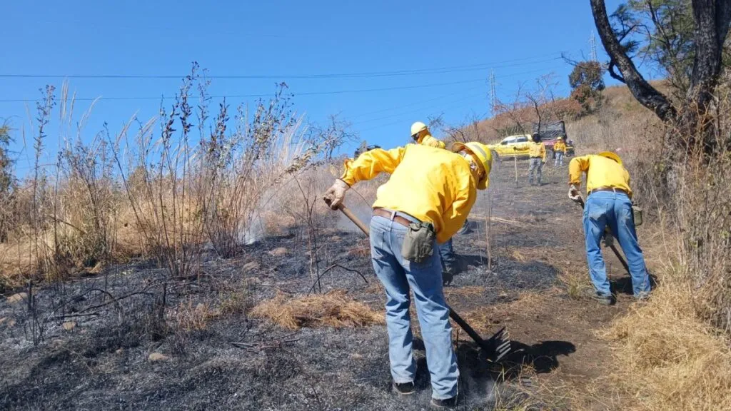 Edomex con menos del 1% del área forestal afectada durante la temporada de incendios