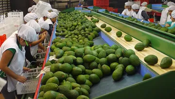 Cadena de frío, un reto para la comercialización agropecuaria mexiquense