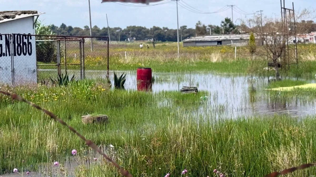 Inundaciones cumplen tres meses en Chapultepec