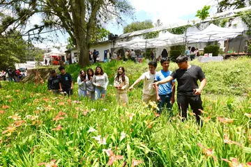 UAEMéx celebra el Tercer Festival de las Tigridias en Tenancingo