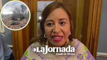Tala ilegal consume alrededor de kilómetro y medio en Atlapulco