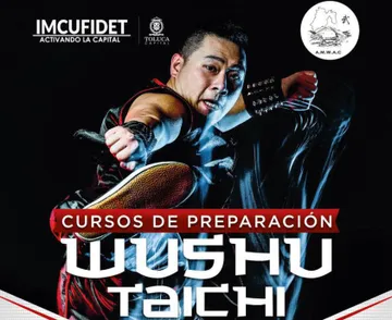 Wushu