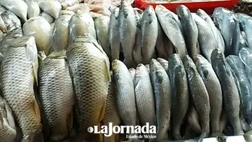 [Recorrido semanal] Demanda de pescado se triplica, no subieron precios
