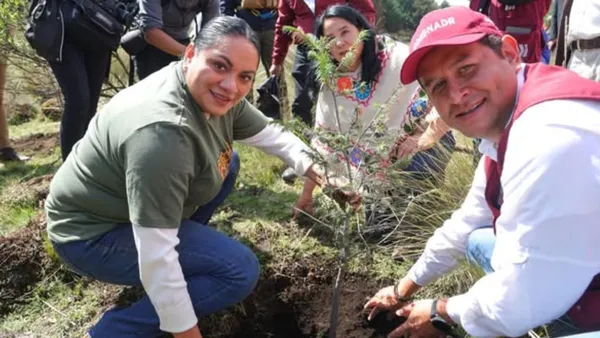Edomex plantará más de 450 mil árboles para reforestar zonas boscosas