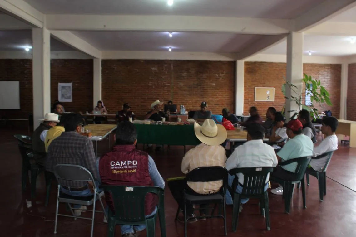 Fortalecen el cultivo de amaranto en la zona oriente del Edomex