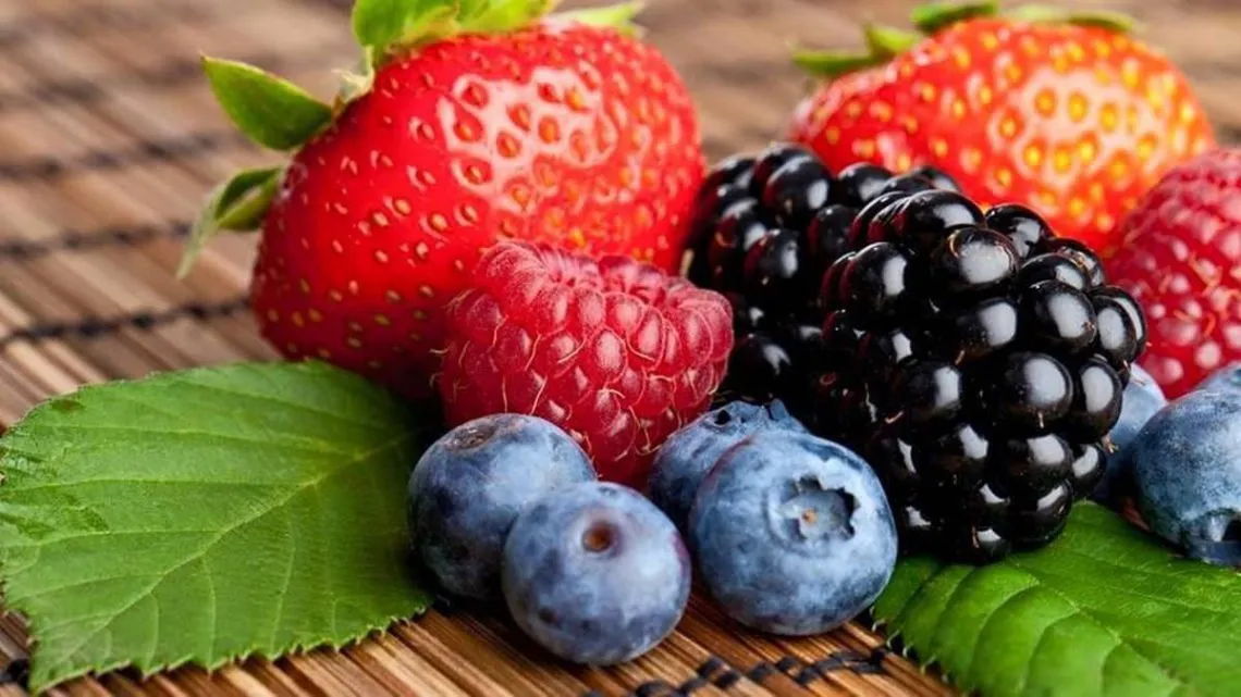 Chapingo busca producir berries que resistan las plagas y enfermedades