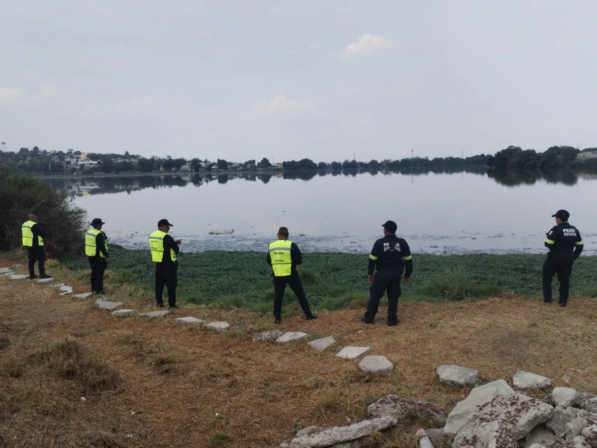Cuautitlán Izcalli: Vigilan Laguna “La Piedad” por presencia de un reptil