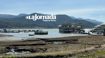 Valle de Bravo: Van por saneamiento de presa con lirio acuático