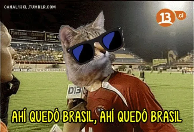¡La venganza del Michi!: Memes de Brasil tras su eliminación del Mundial